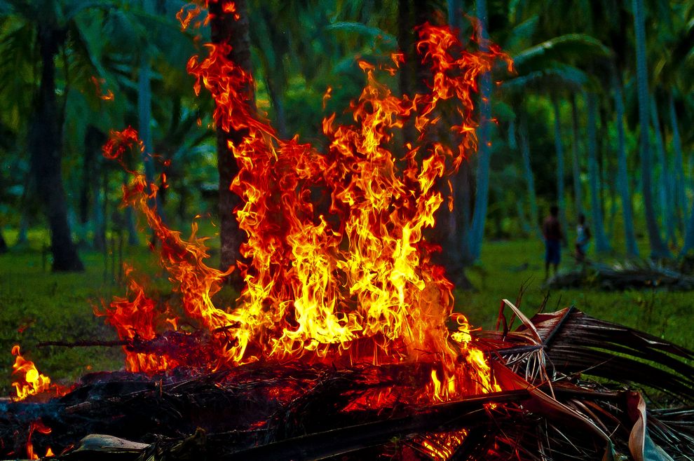 fire-in-the-jungle02.jpg