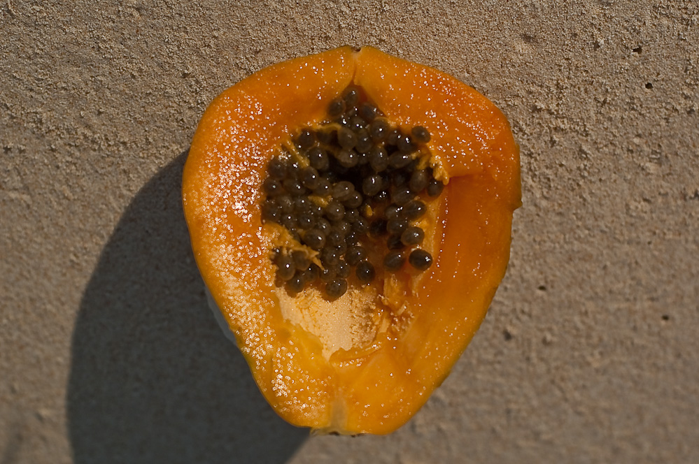 плод папайя.jpg