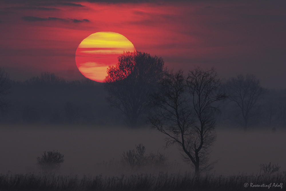 sunrise-26.jpg