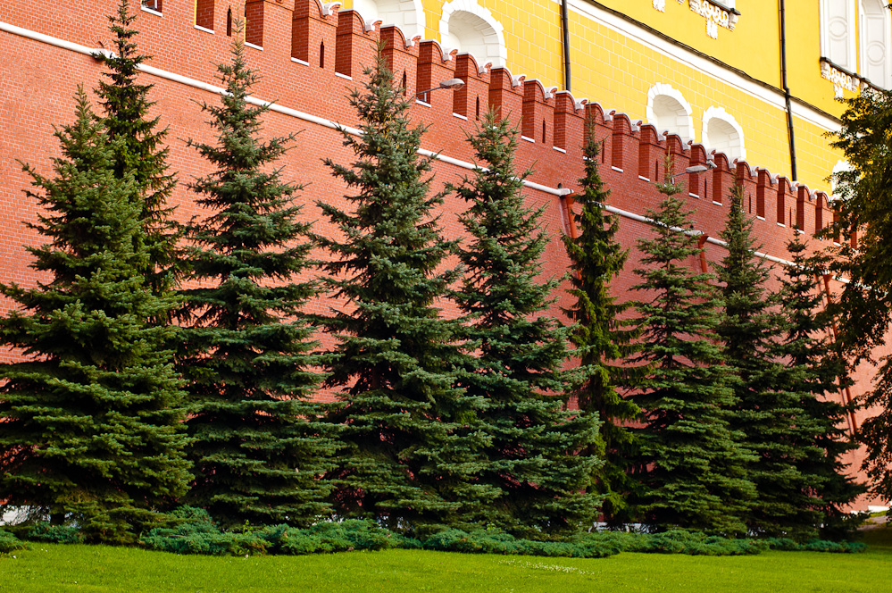 кремлёвские сады