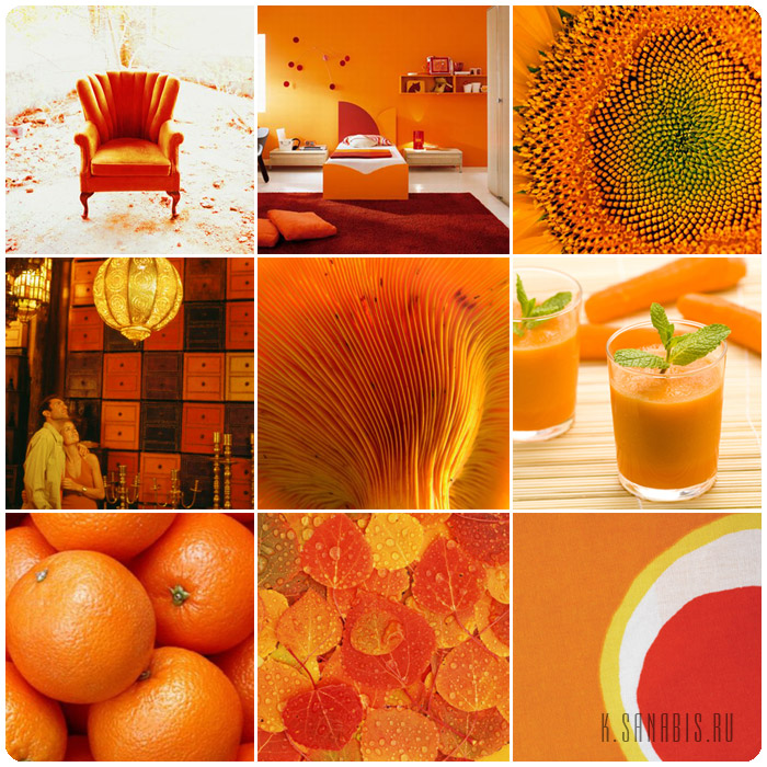 оранжевый цвет