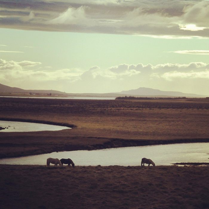 пейзажи исландии