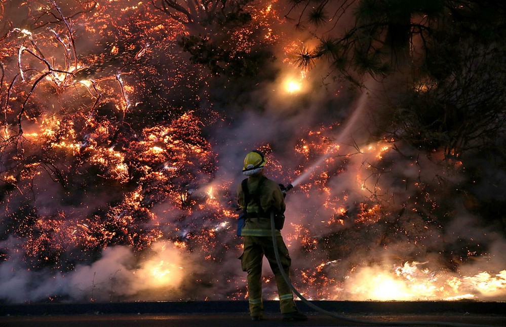 тушение лесных пожаров