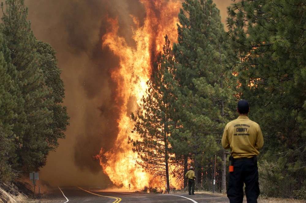 фото лесной пожар