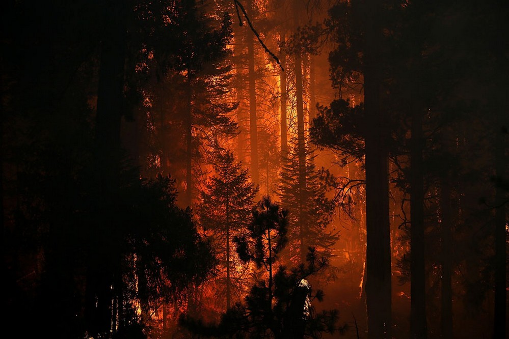 лесные пожары +в сша