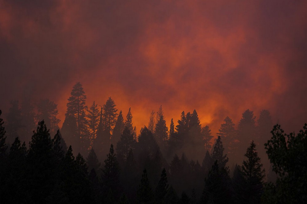 лесные пожары +в сша