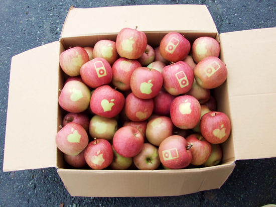Яблоки Apple 6