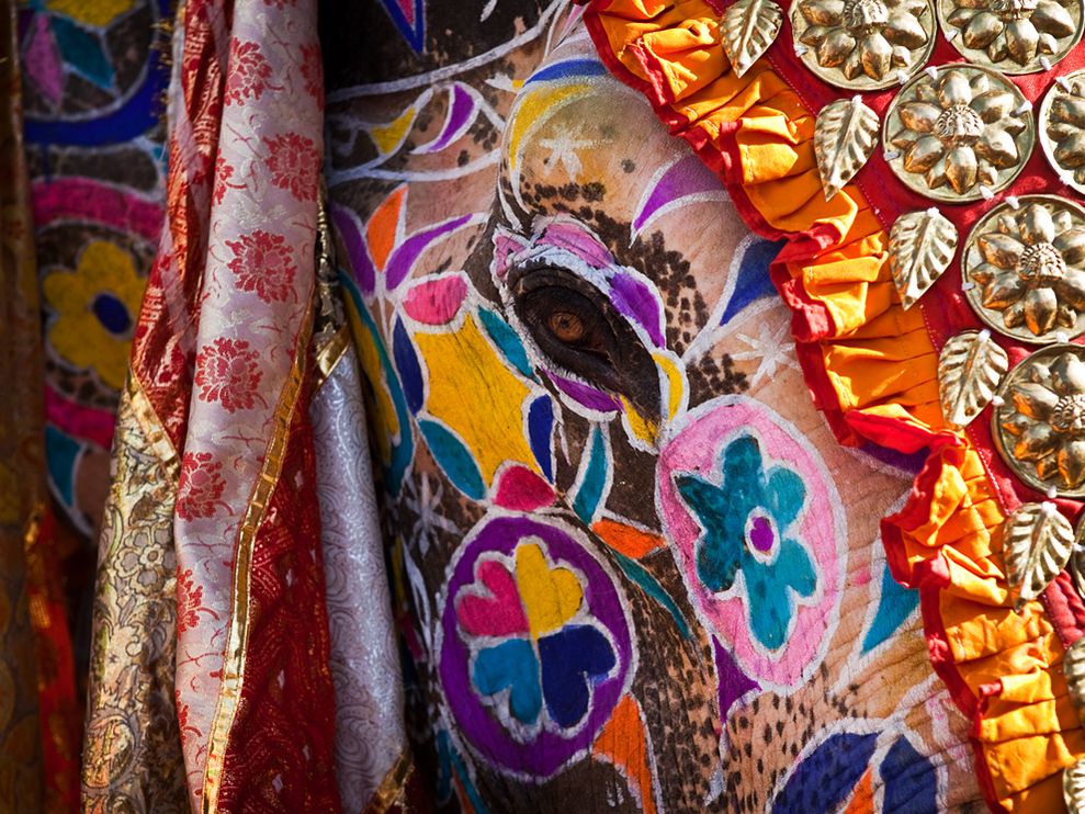 elephant-festival-jaipur-india.jpg