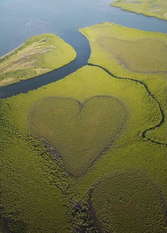 hearts-in-nature17.jpg