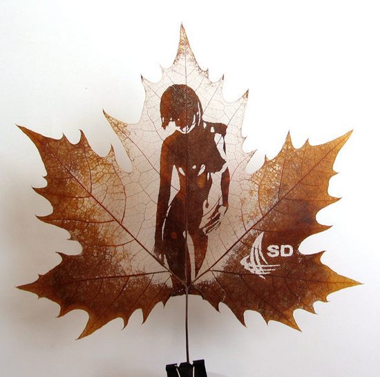 leaf-carving-art01.jpg