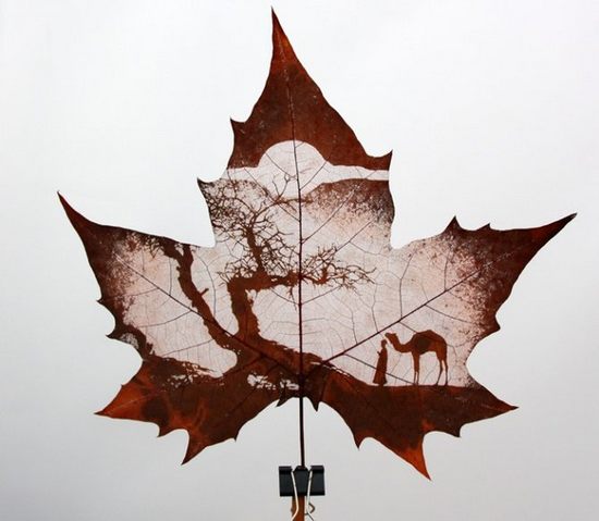 leaf-carving-art09.jpg