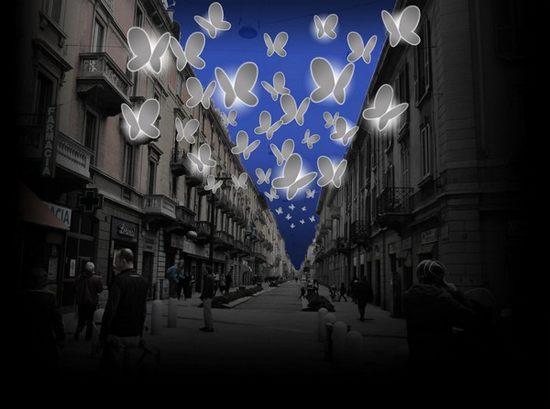 led-butterflies03.jpg
