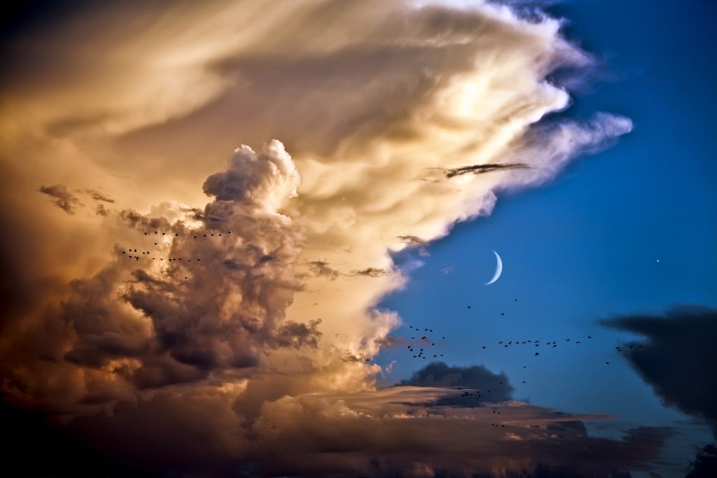Облака, Птицы, Луна, Венера