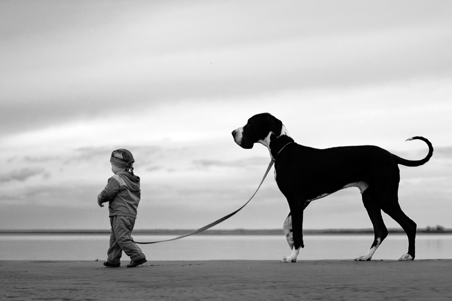 Большой пёс и маленький мальчик