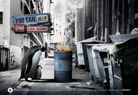Бездомный пингвин